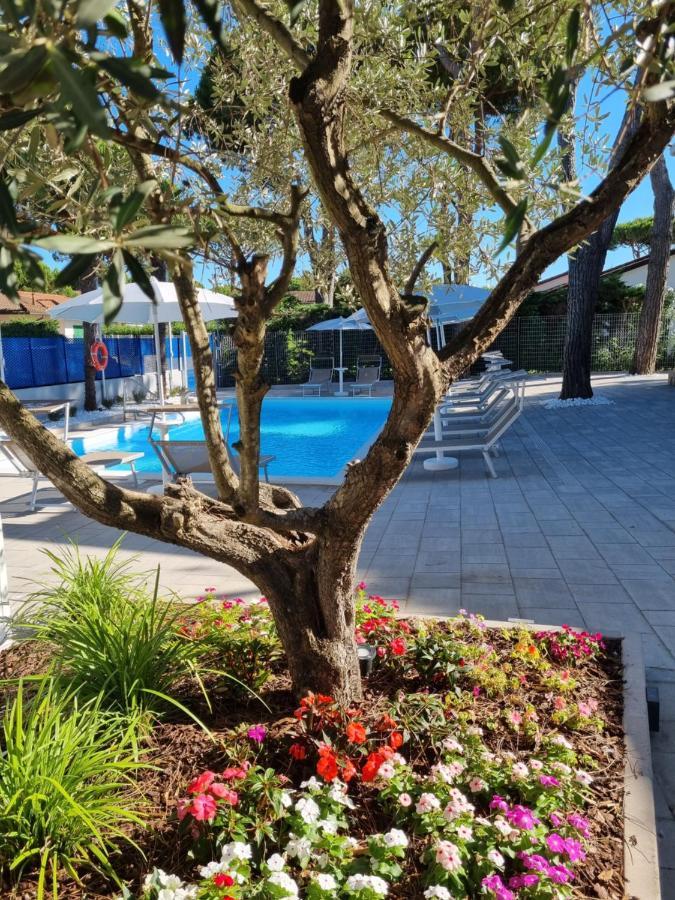 Blue Inn Residence E B&B Lido delle Nazioni Buitenkant foto